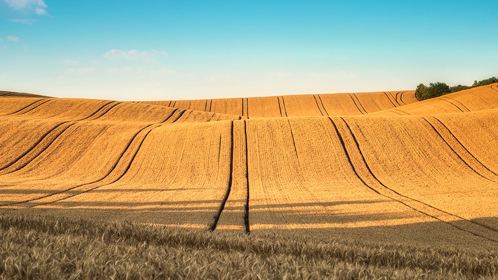 Image d'un terrain accidenté