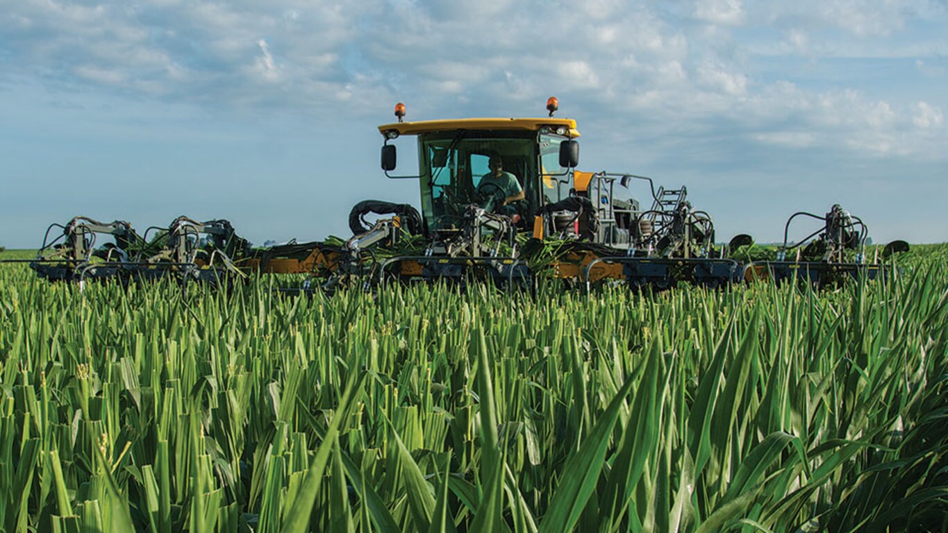 Image d'une &eacute;cimeuse de ma&iuml;s automotrice Hagie&nbsp;D400 dans un champ