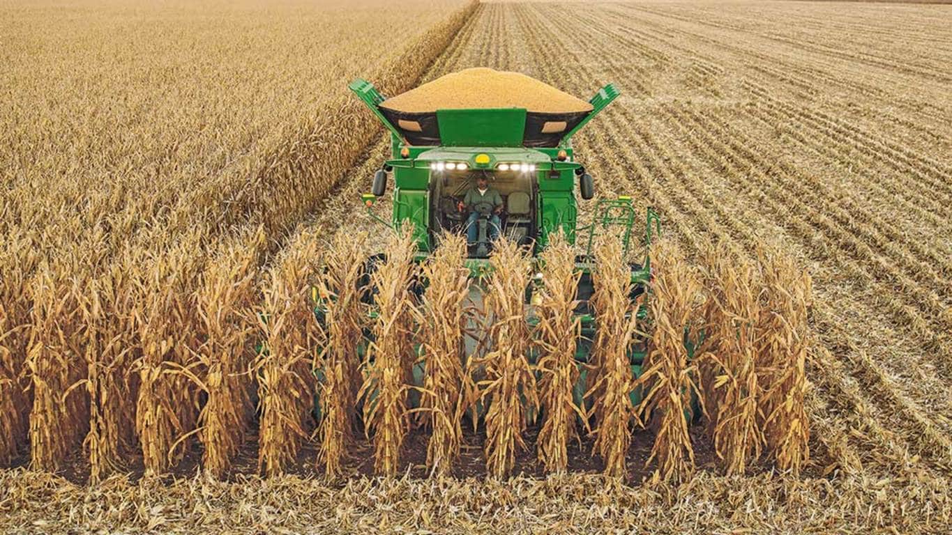 Moissonneuse-batteuse S780 dans un champs de mais