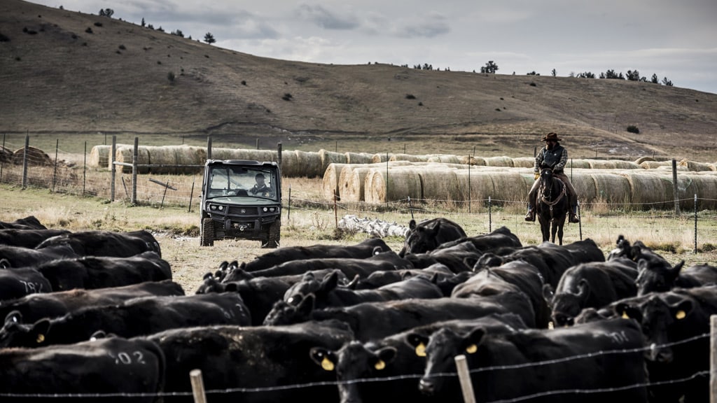 Ferme ou ranch