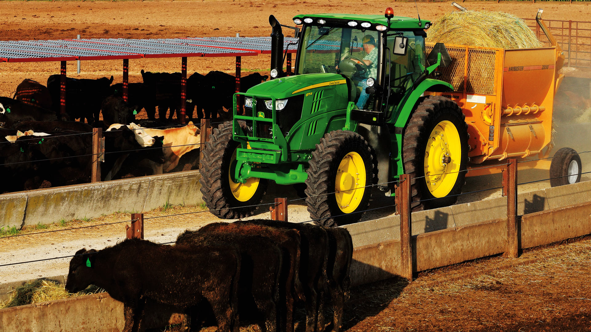 Image d’un tracteur et de vaches