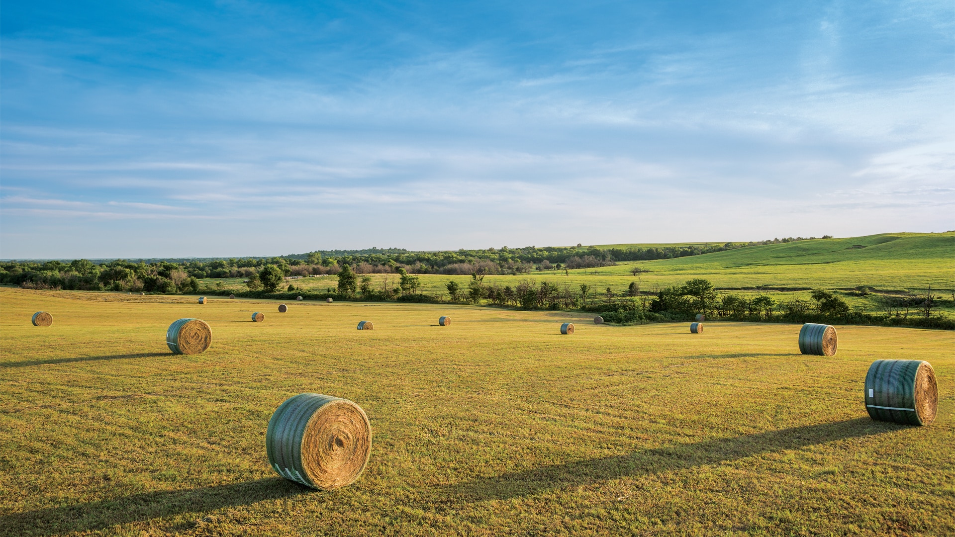 Photo of bales across farmland