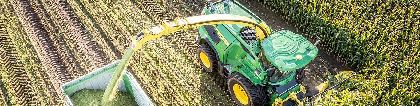 SPFH dumping harvested corn silage