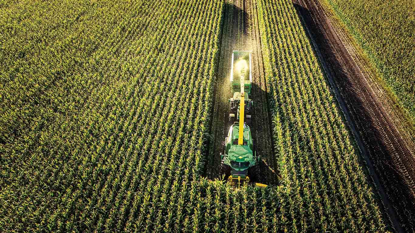 SPFH harvesting corn silage