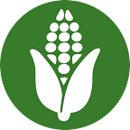 green icon of an ear of corn