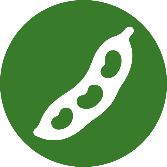 Graphic icon representing edible beans.