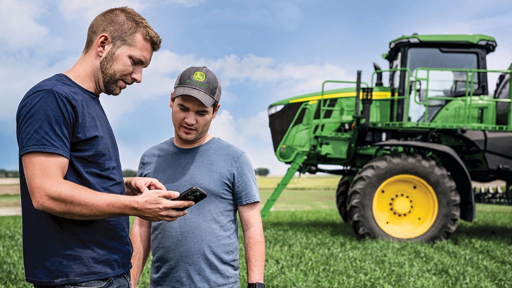 Soybeans growing in a field on a bright day.