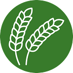 green icon of a wheat straw