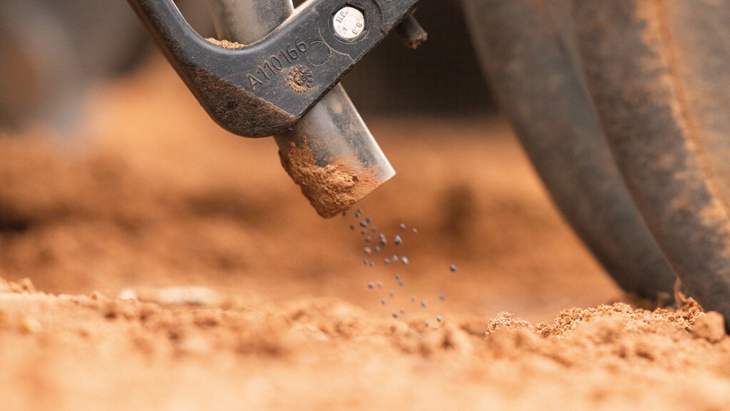 Extreme close-up of seeds dropping from a planter seed tube into a red soil furrow.