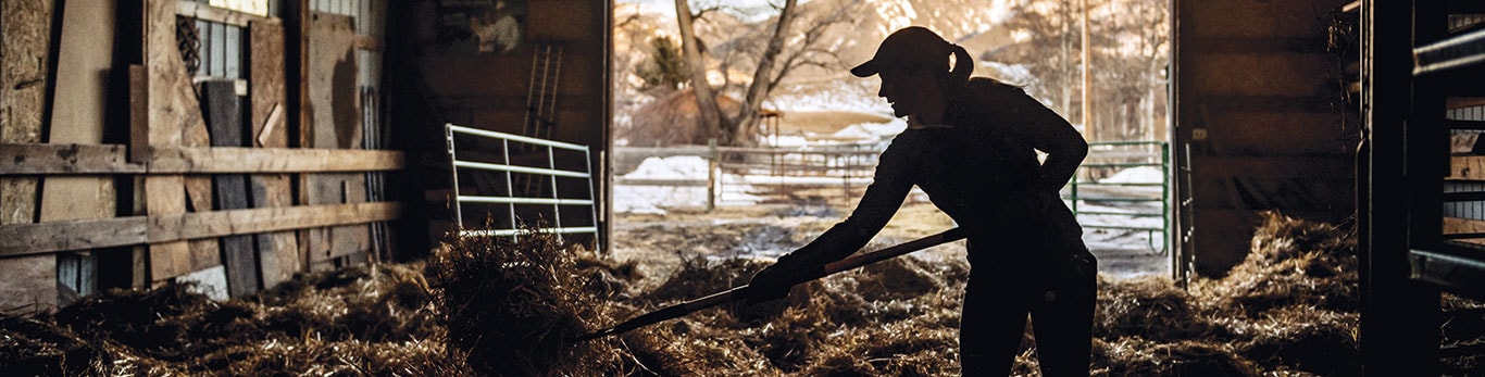 Close-up view of a woman handling hay in a barn.