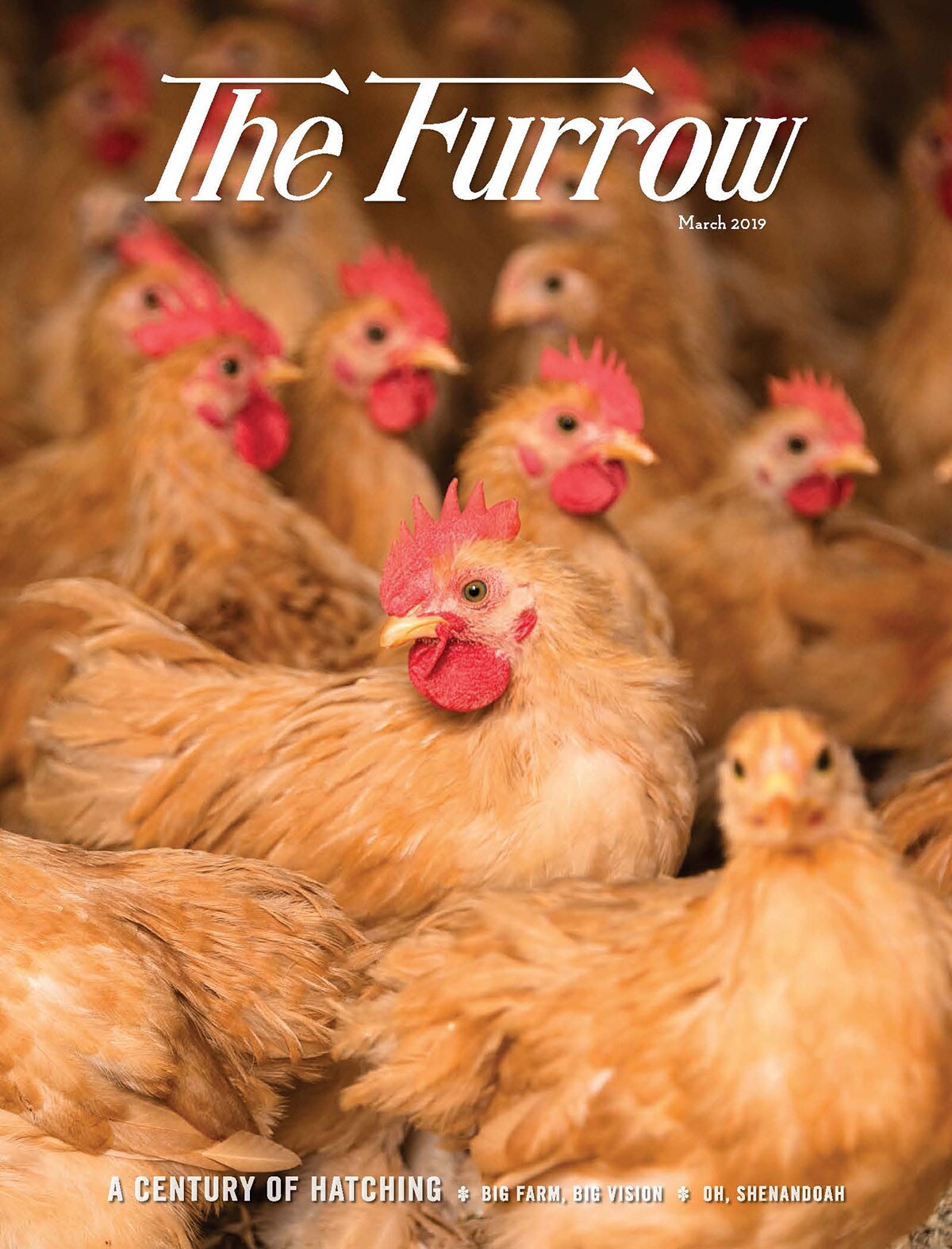 The Furrow - March 2019 Issue