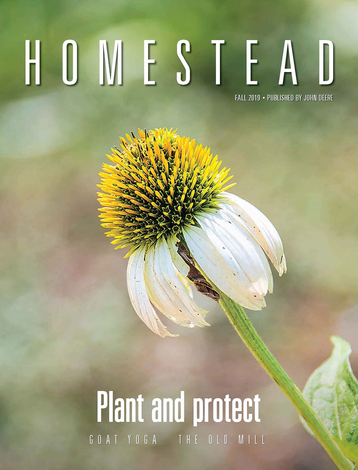 Homestead - Fall 2019 Issue
