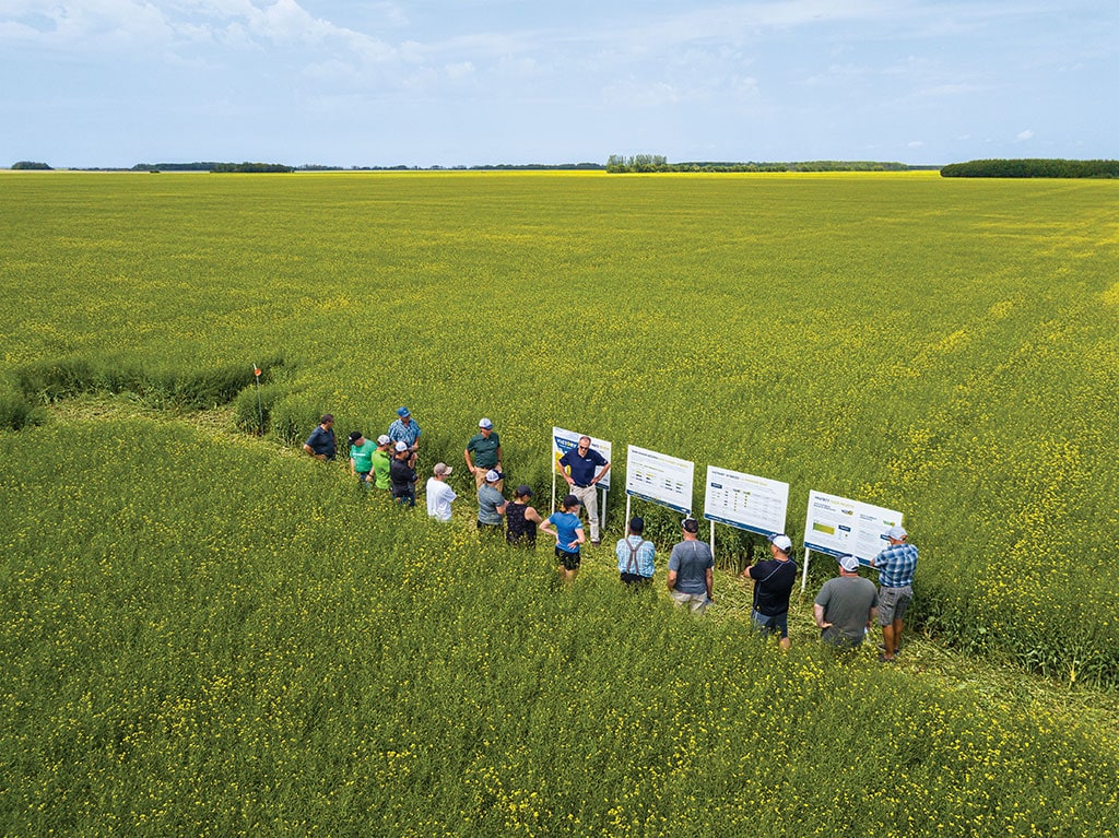 group of people in field