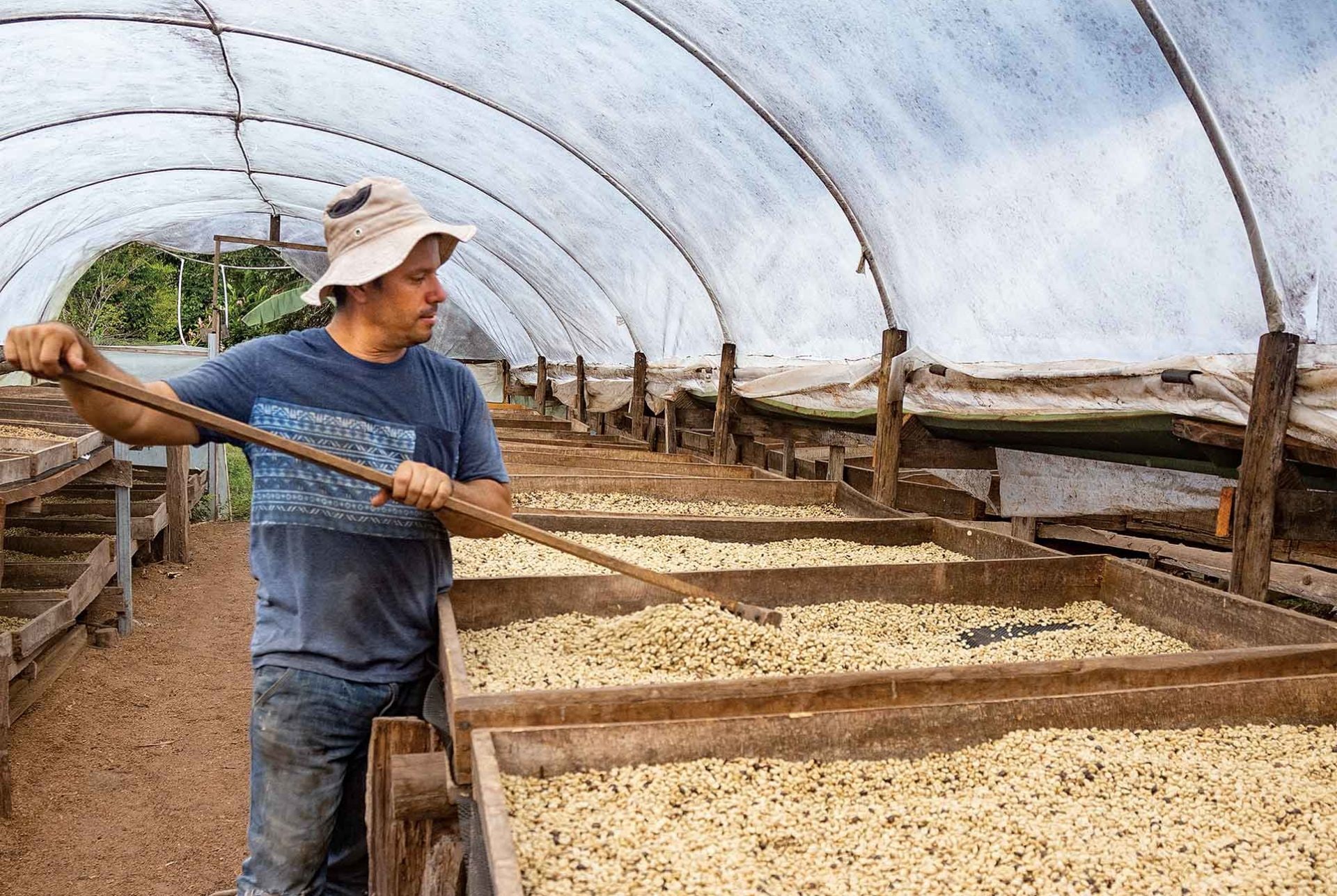 Man stirring coffee beans