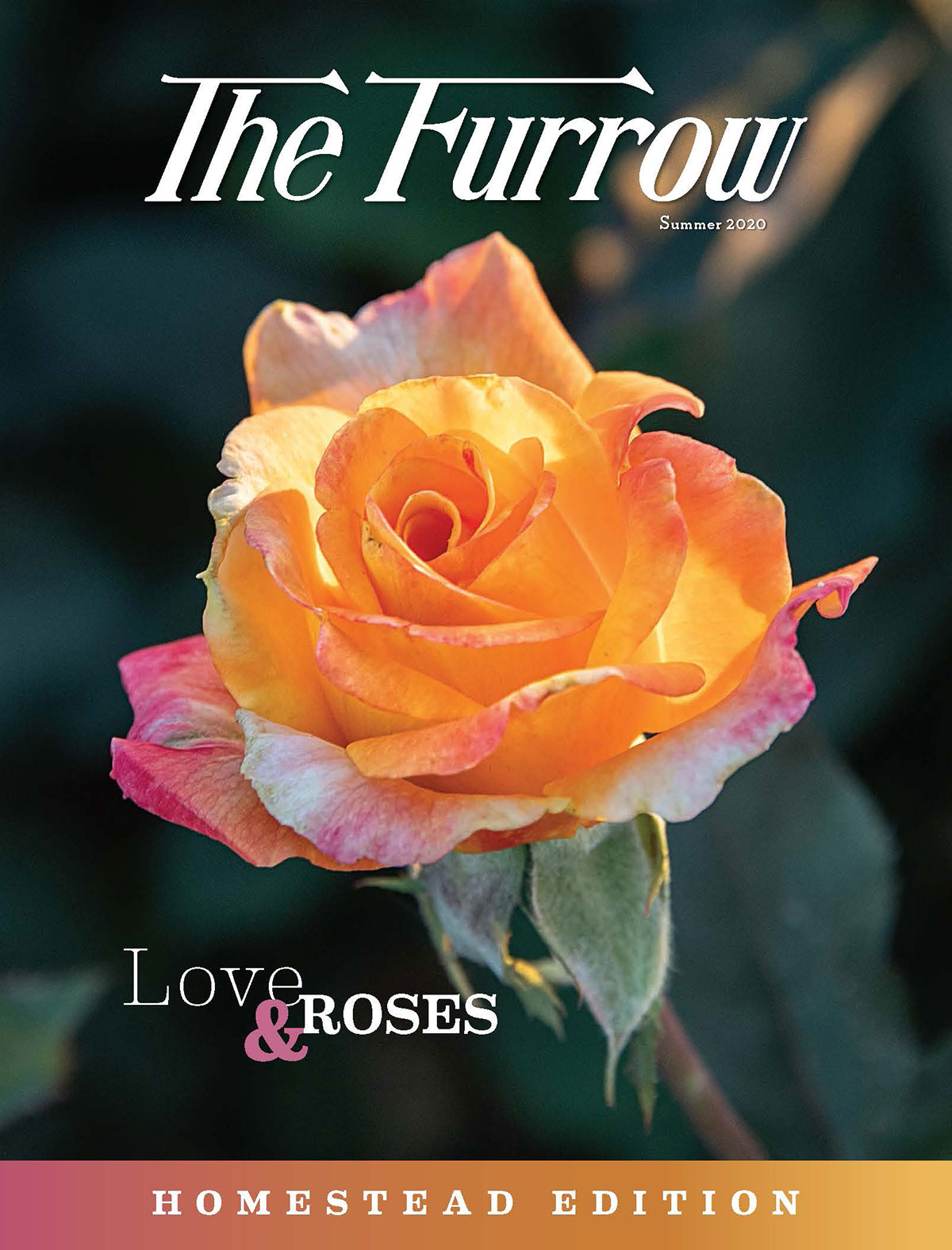 The Furrow - Summer 2020 Issue