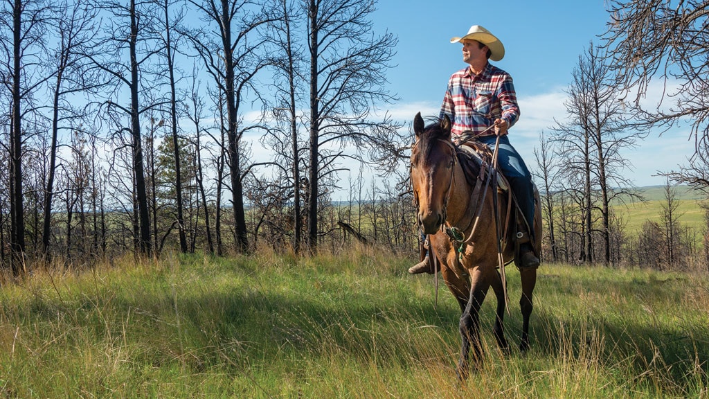 Man riding horse