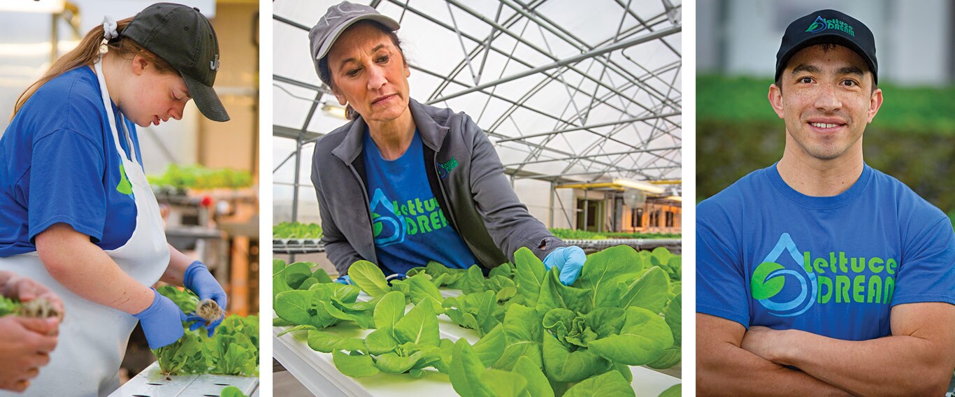 Photos of the people at Lettuce Dream