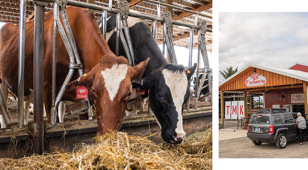 COWS AND CREAMERY