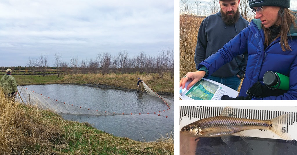 Restoring Oxbows Photo collage