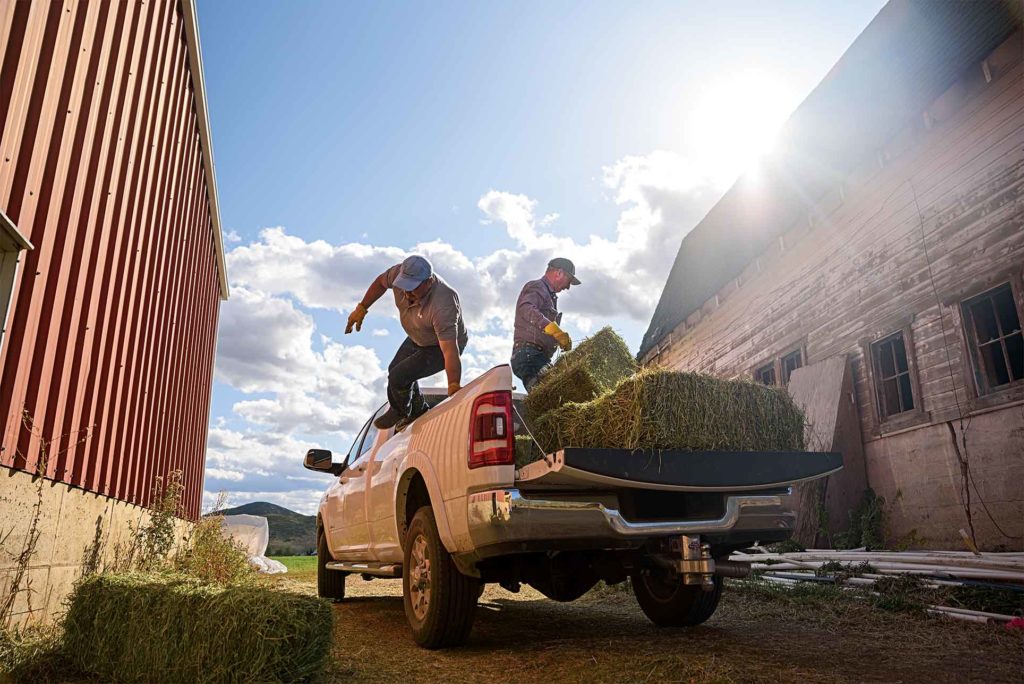 2 men with hey in a truck