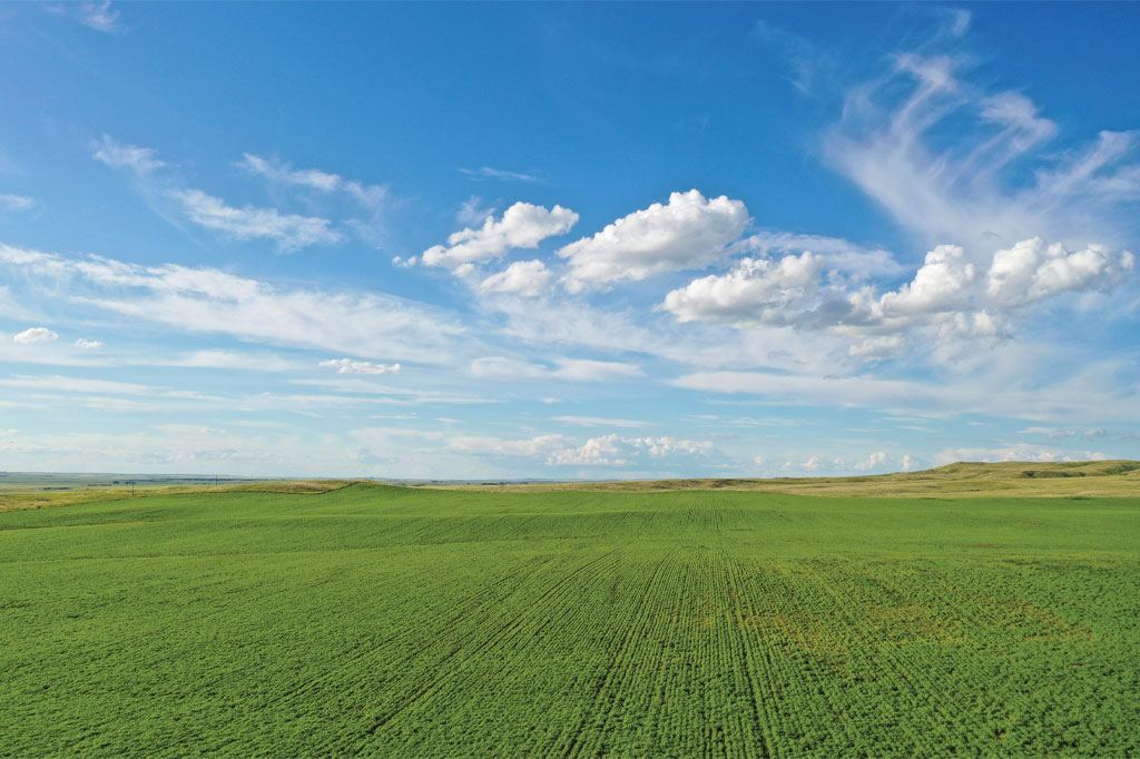 picture of farmland