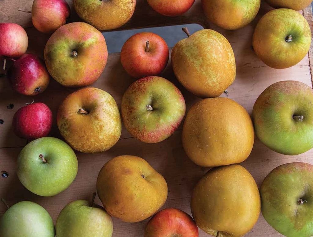 Apples on a table