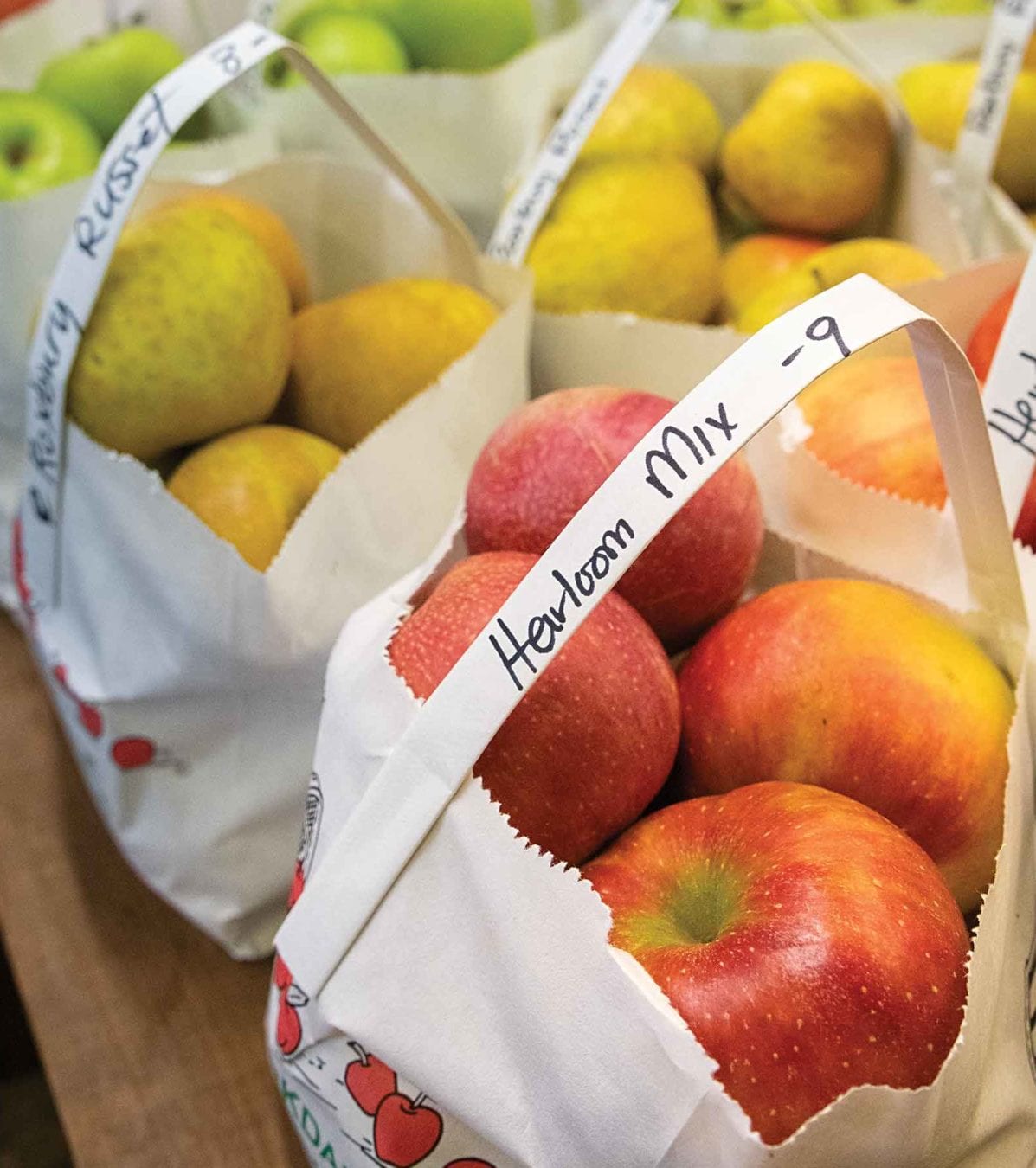 Apples in bags