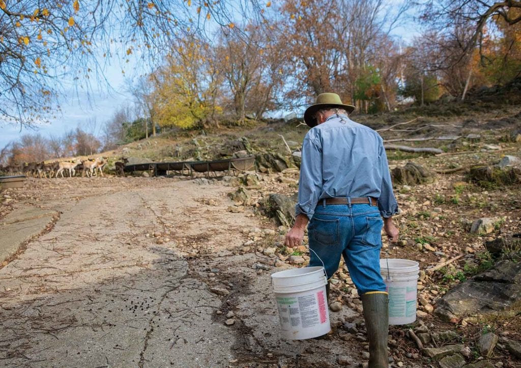 Man walking with buckets