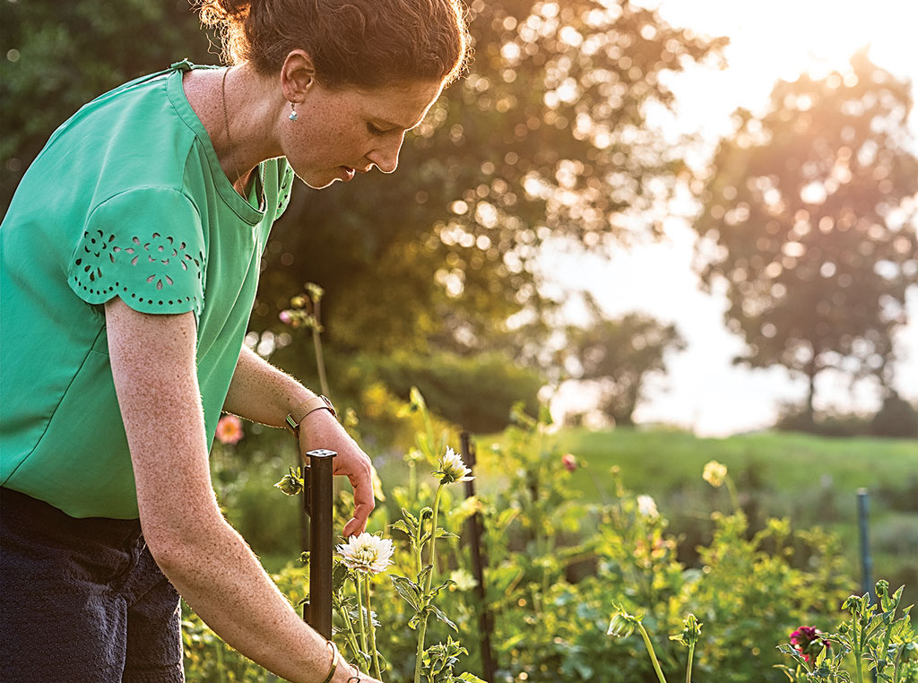 woman picking flowers