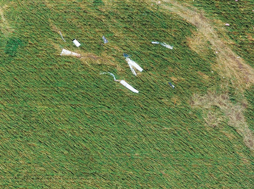 Downed Corn field from derecho