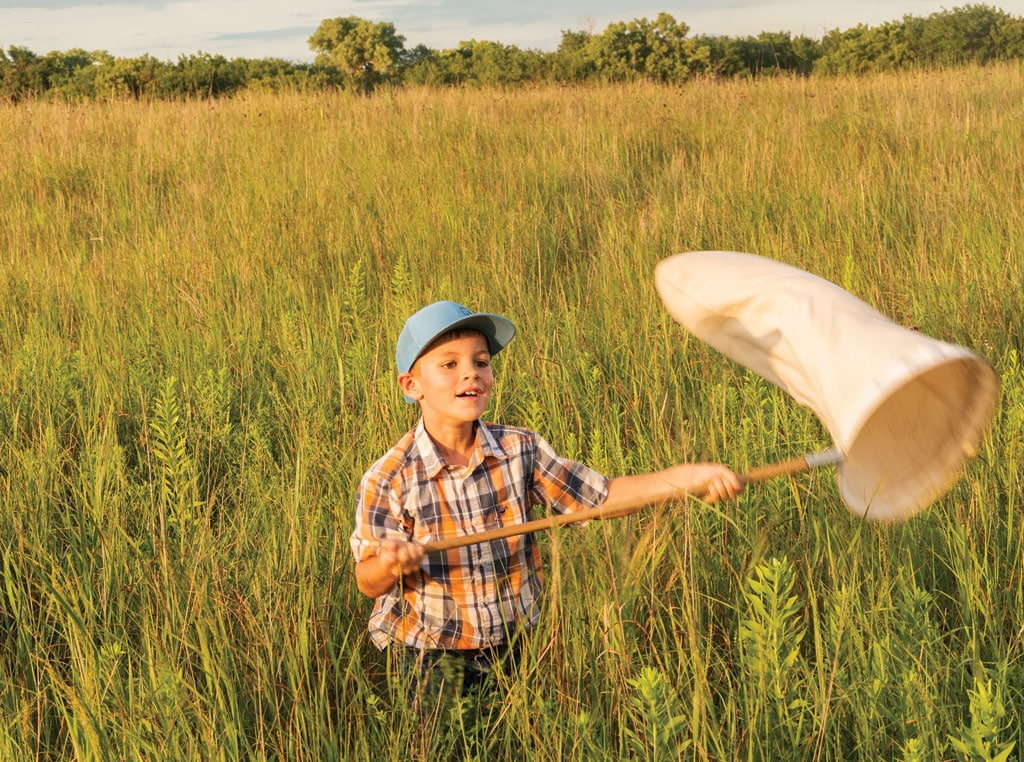 Child with net catching insects