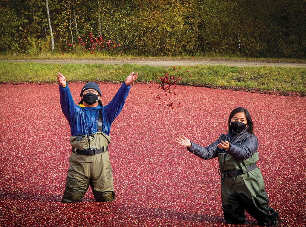 Couple in cranberry harvest