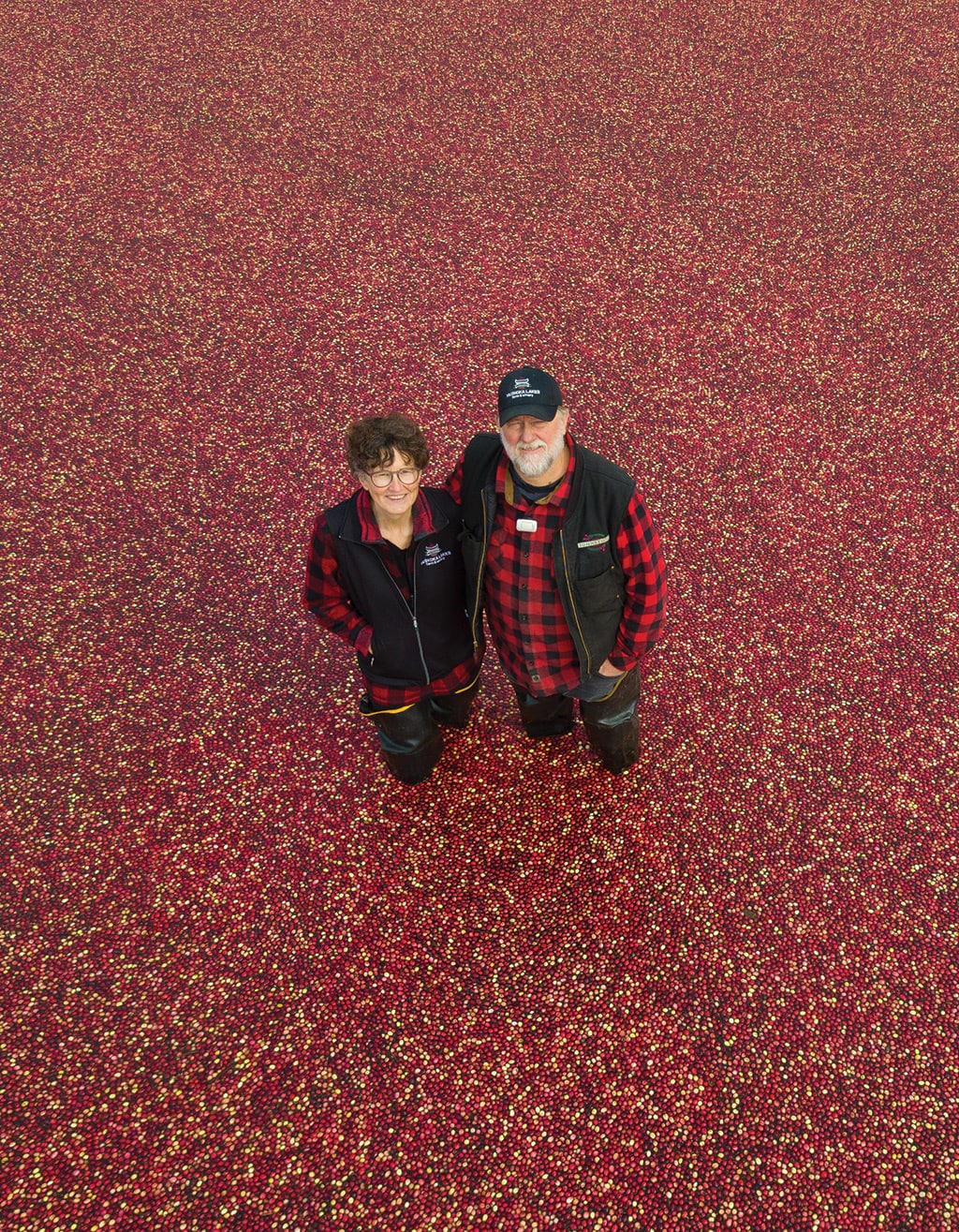 Wendy and Murray standing in berries