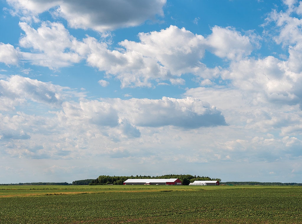 View of farm in the distance