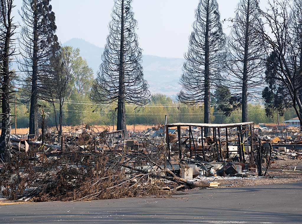 photo of wildfire devastation