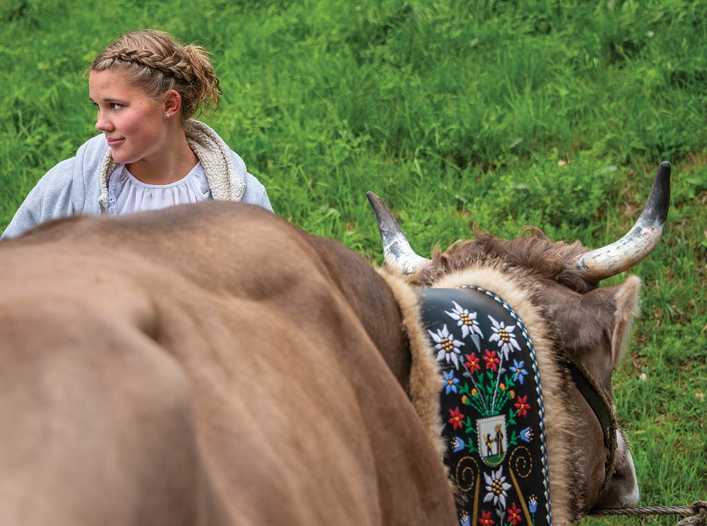 Kathrin Felder readies cows for their downhill march.
