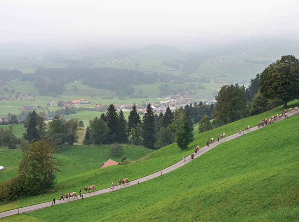 The Felders descend more than 2,000 feet from summer to winter pasture.