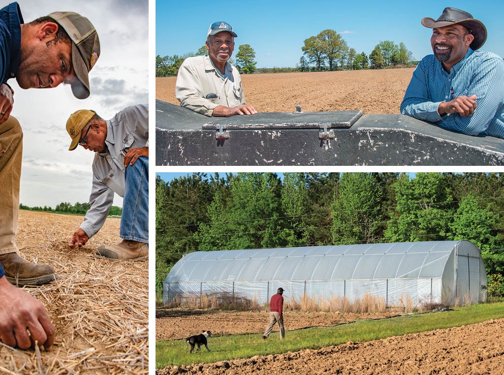 farmers in field and property walking with dog