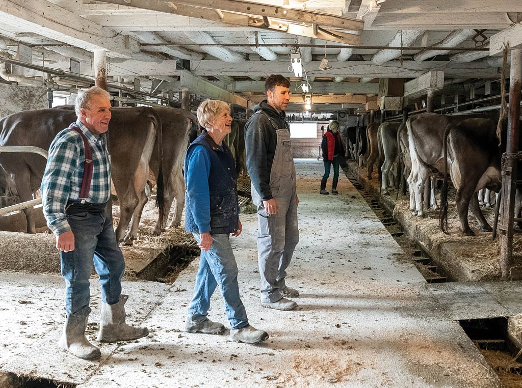Nick's Parents walking in barn with cows