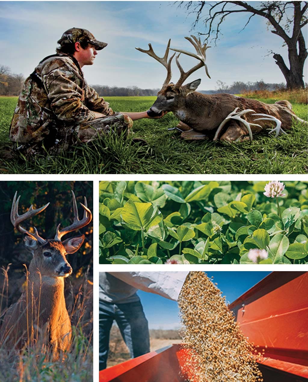 man with deer in a field