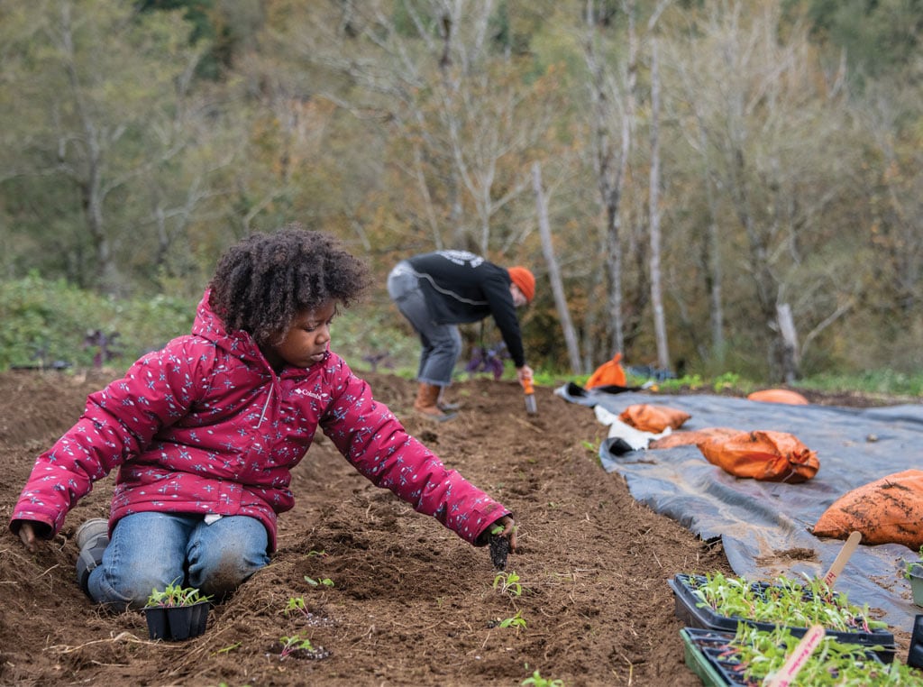 children planting and plants in the soil