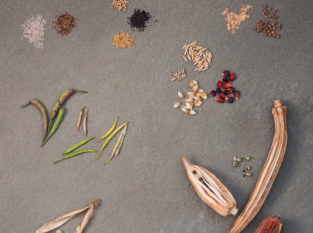 Seeds on a table