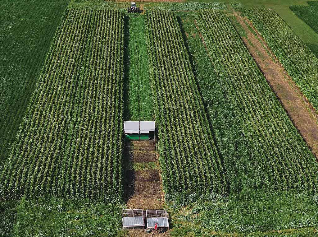 Stock cropping system photo from above
