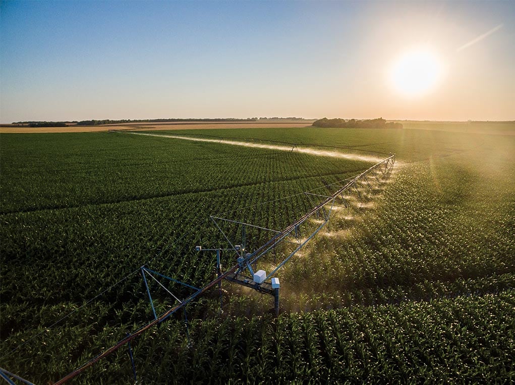 sunrise over some crops