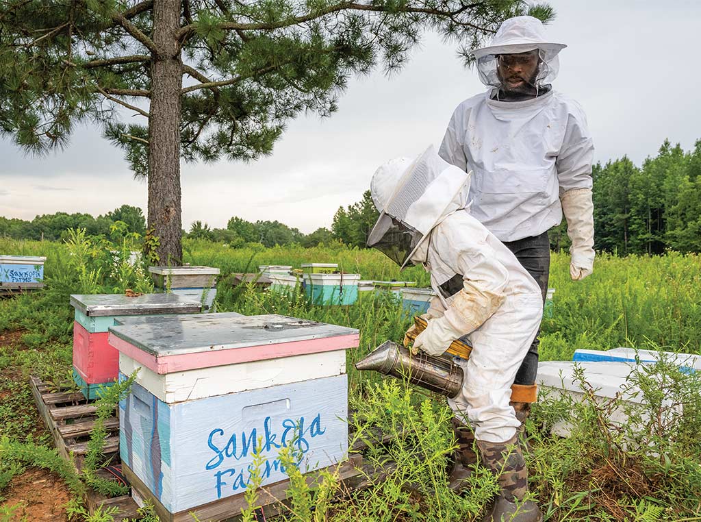 adult and child beekeepers smoking bee hive