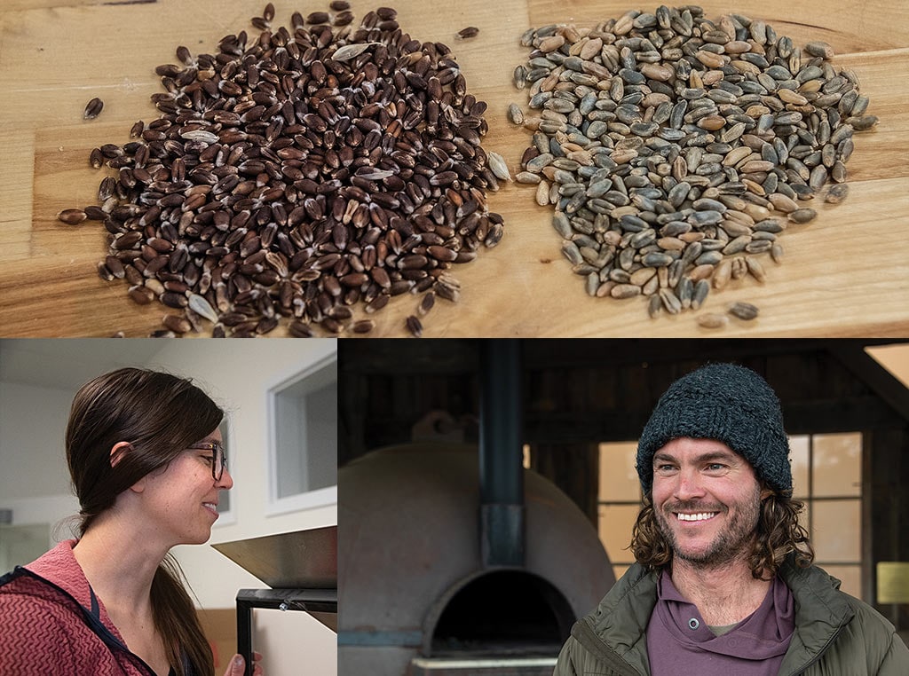 closeup of grains and two people smiling