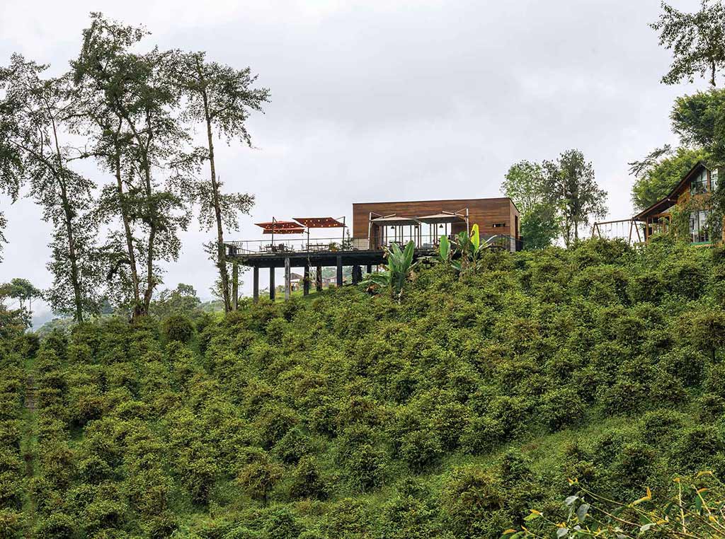 forest cafe in Equador