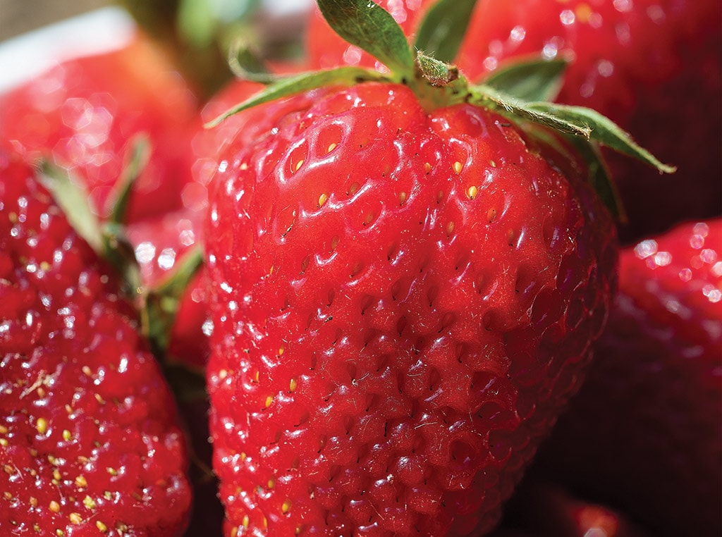 Close up of a strawberry