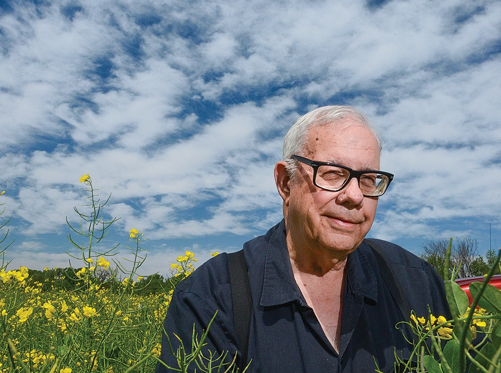 man in field with tree branch in his hand