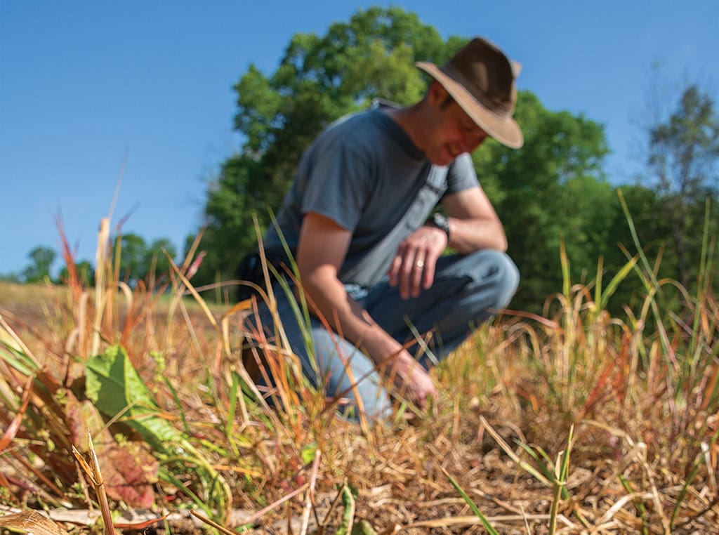 man kneeling in field